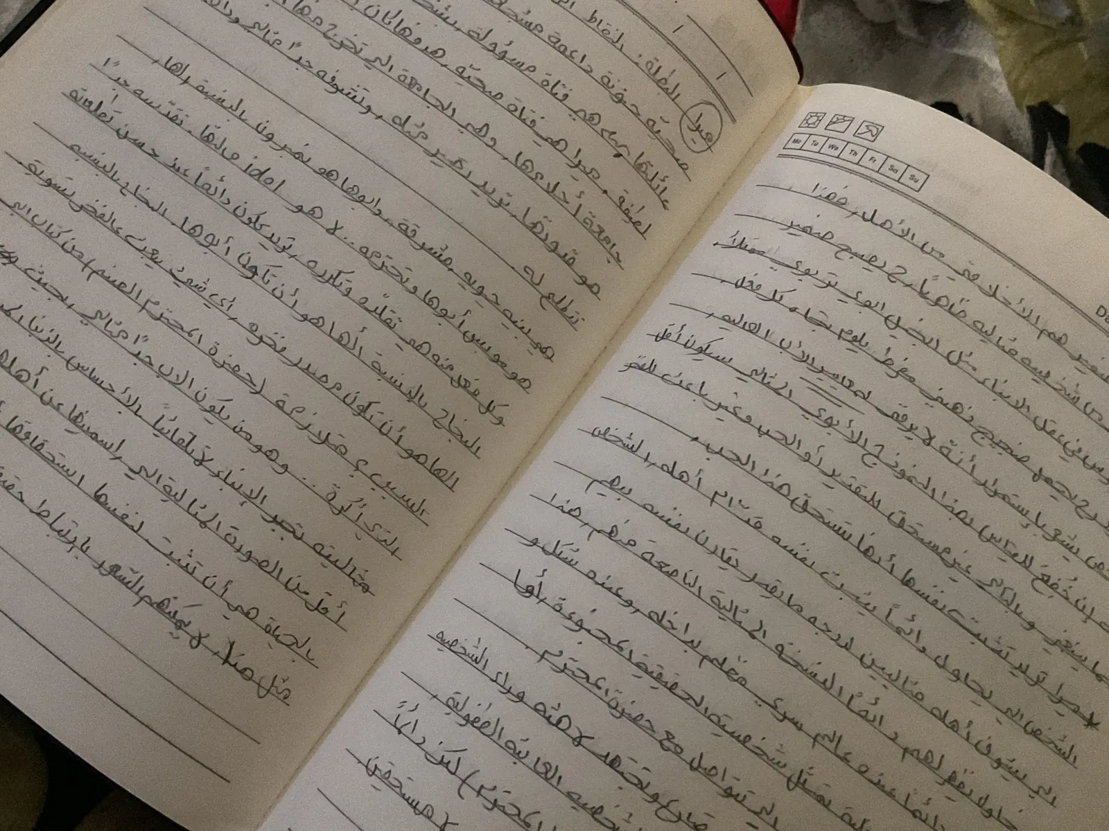 غلاف صفحة سيناموني