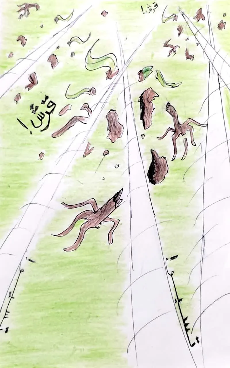 صفحة 5 من 21